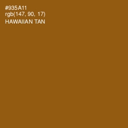 #935A11 - Hawaiian Tan Color Image